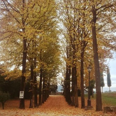 Relais Villa Gozzi B&B Arcugnano Luaran gambar