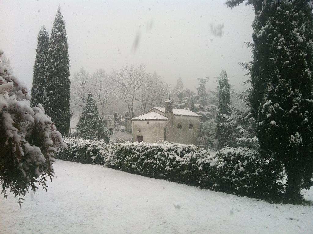 Relais Villa Gozzi B&B Arcugnano Luaran gambar