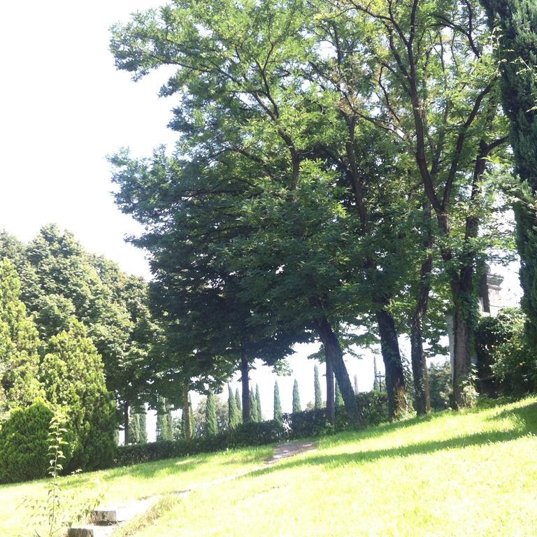 Relais Villa Gozzi B&B Arcugnano Luaran gambar
