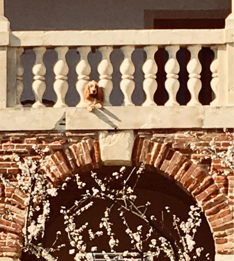 Relais Villa Gozzi B&B Arcugnano Luaran gambar