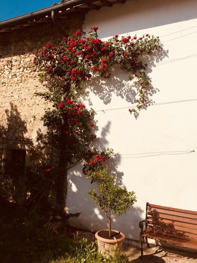 Relais Villa Gozzi B&B Arcugnano Luaran gambar